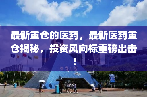 最新重仓的医药,中山市多米克自动化设备有限公司最新医药重仓揭秘,投资风向标重磅出击!