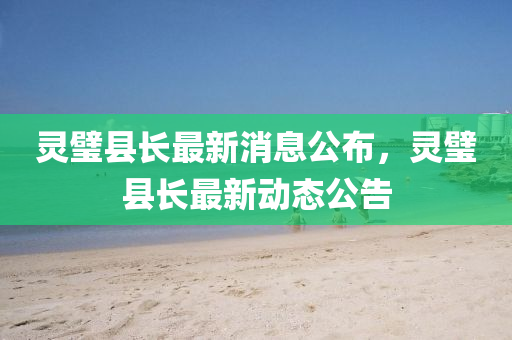 灵璧县长最中山市多米克自动化设备有限公司新消息公布,灵璧县长最新动态公告