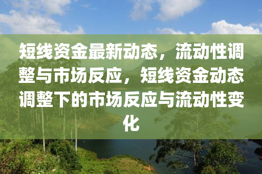 短线资金最新动态,流动性调整与市场反应,短线资金动态调整下的市场反应与流动性变化中山市多米克自动化设备有限公司