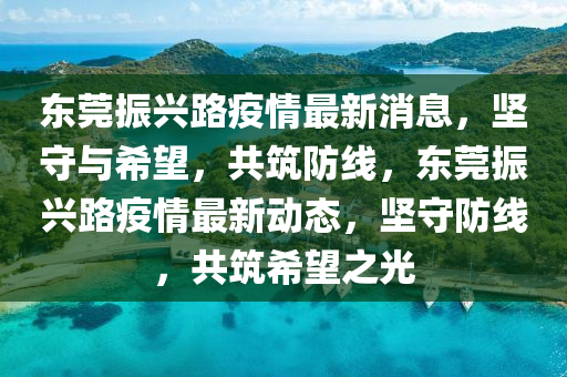 东莞振兴路疫情最新消息，坚守与希望，共筑防线，东莞振兴路疫情最新动态，坚守防线，共筑中山市多米克自动化设备有限公司希望之光