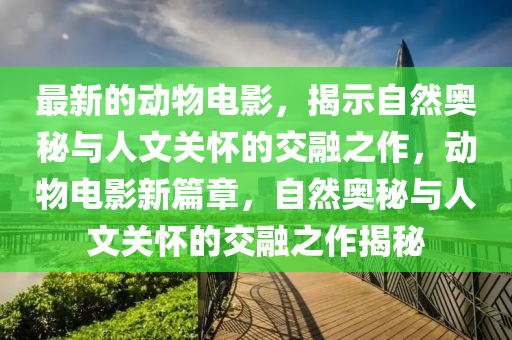 最新的动物电影,揭示自然奥秘与人文关怀的交融之作,动物电影新篇章,自然奥秘与人文关怀的交融之作揭秘中山市多米克自动化设备有限公司