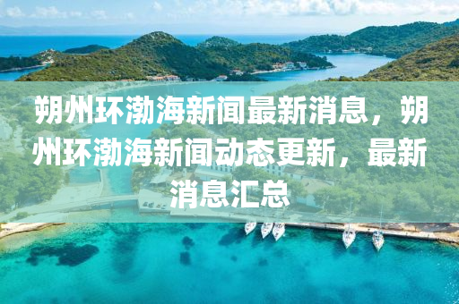 朔州环渤中山市多米克自动化设备有限公司海新闻最新消息,朔州环渤海新闻动态更新,最新消息汇总