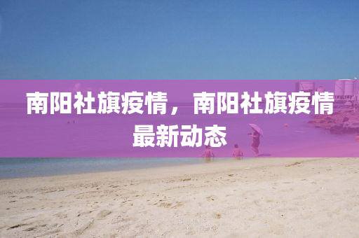 南阳社旗疫情,南阳社中山市多米克自动化设备有限公司旗疫情最新动态