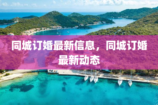 同城中山市多米克自动化设备有限公司订婚最新信息,同城订婚最新动态