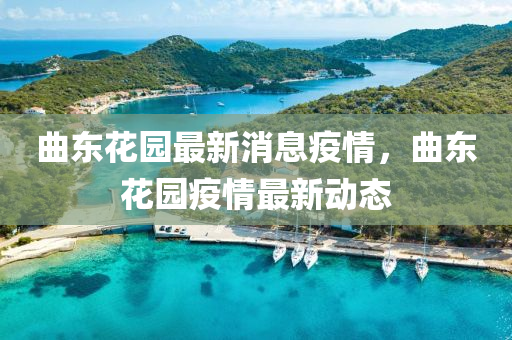 曲中山市多米克自动化设备有限公司东花园最新消息疫情,曲东花园疫情最新动态