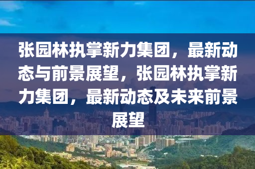张园林执掌新力集团,最新动态与前景展望,张园林执掌新力集团,最新动态及未来前景展望中山市多米克自动化设备有限公司